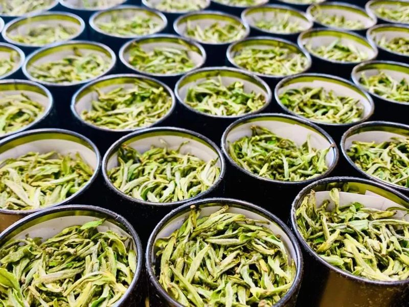 十大不可错过的茶旅胜地，你去过几个？