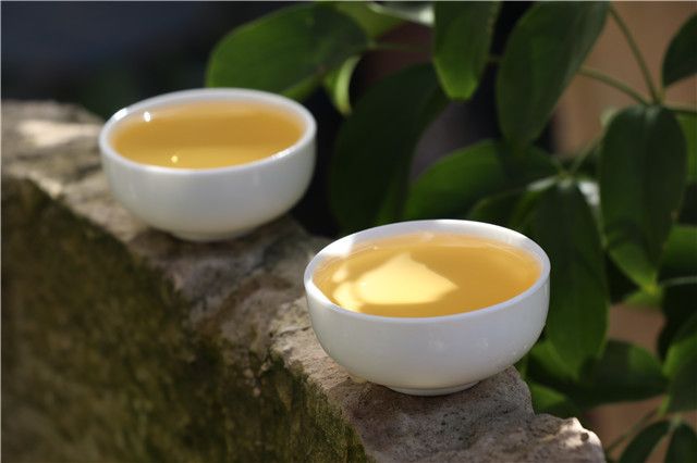 喝普洱茶有哪些好处和坏处