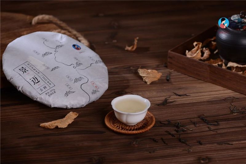 找茶农就能买到便宜的真古树？