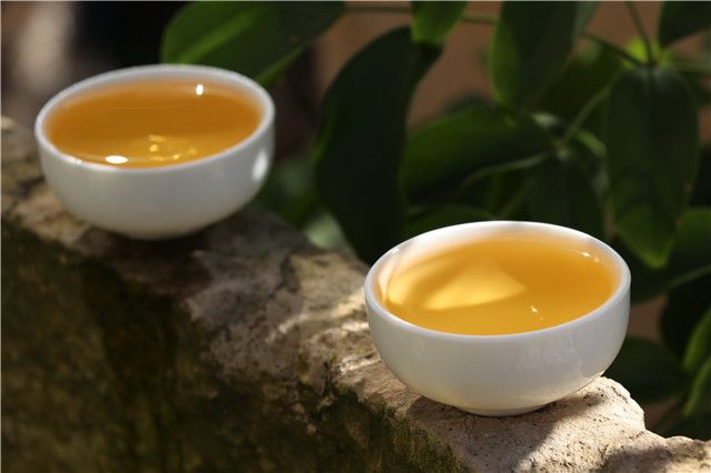 喝普洱茶的喝法和技巧