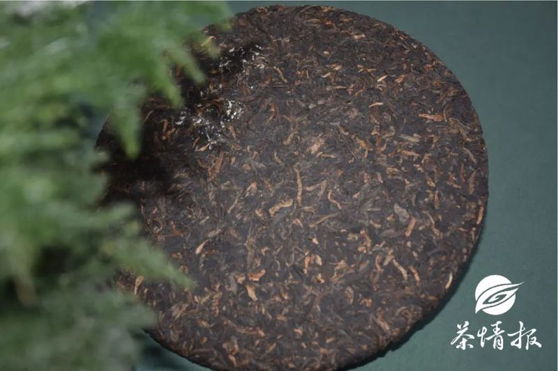 存茶攻略：雨水+潮湿又来了，你的存茶还好吗？