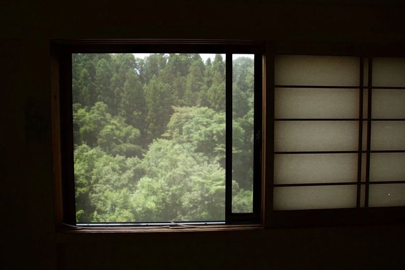 存茶攻略：雨水+潮湿又来了，你的存茶还好吗？