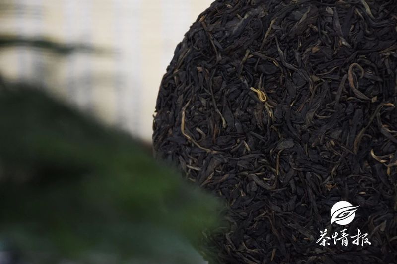 存茶攻略：雨水+潮湿又来了，你的存茶还好吗？