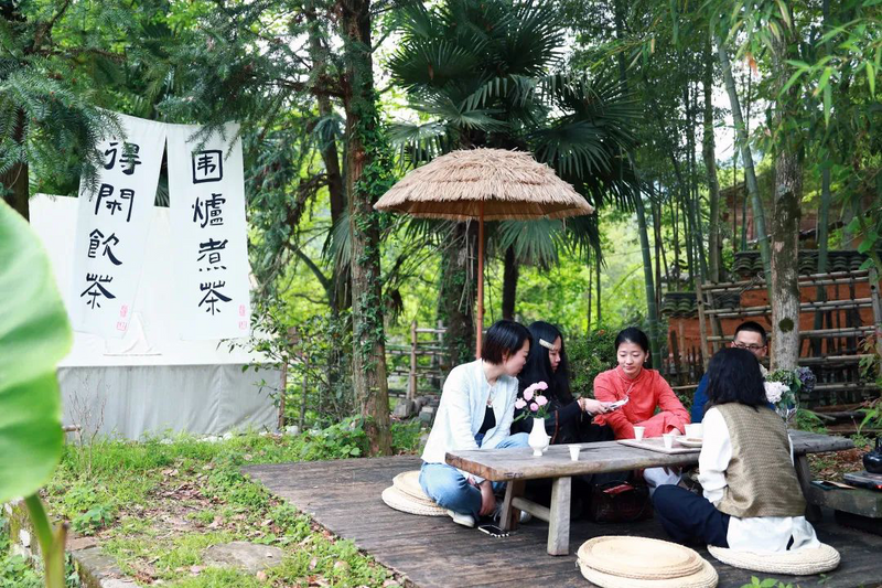 茶文化社交：当代雅生活范式