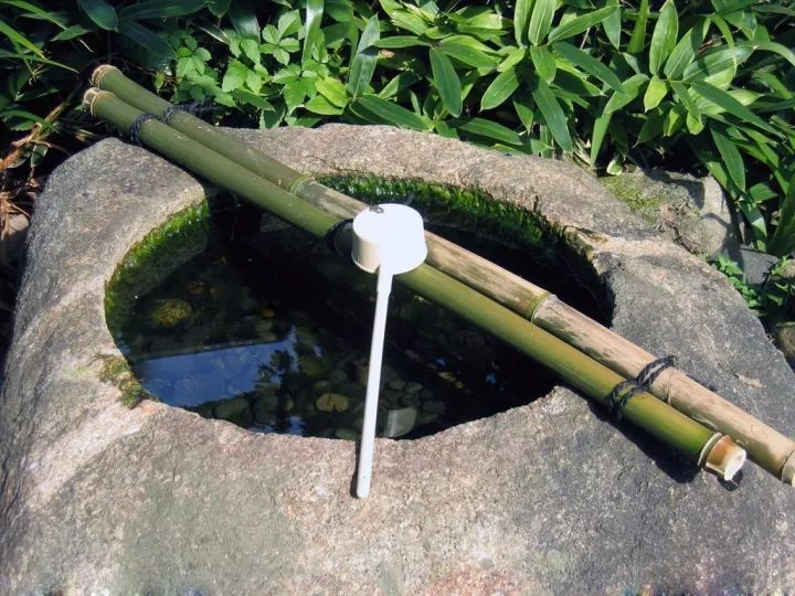 开壶要豆腐煮？收下这份紫砂壶开壶正确方法！
