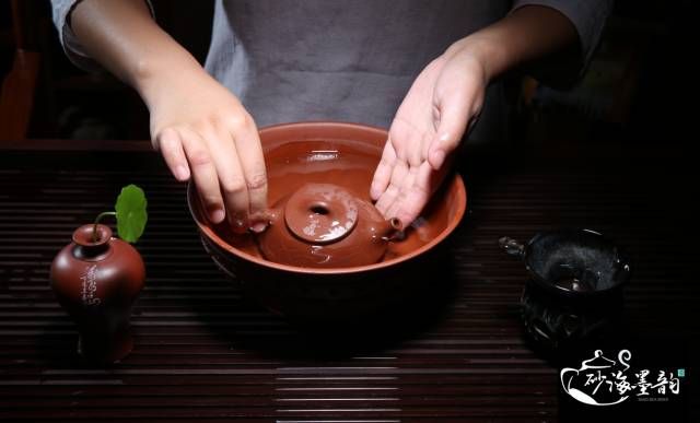 开壶要豆腐煮？收下这份紫砂壶开壶正确方法！