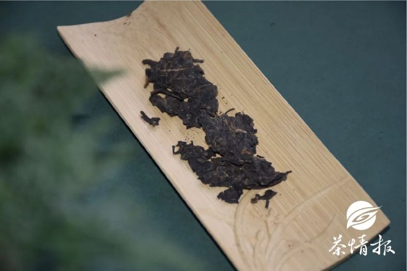春季宜养生，适合喝什么茶呢？