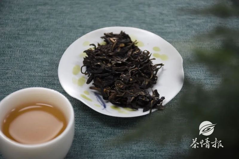 春季宜养生，适合喝什么茶呢？