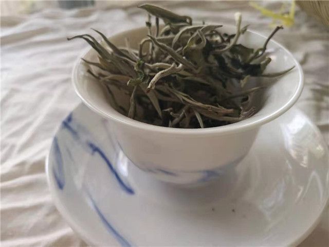 白茶的五种冲泡方法