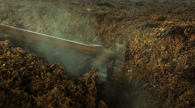 普洱熟茶常说的四种气味
