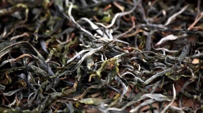 徐霞客的云南行里，有一杯抚慰人心的“临沧茶”