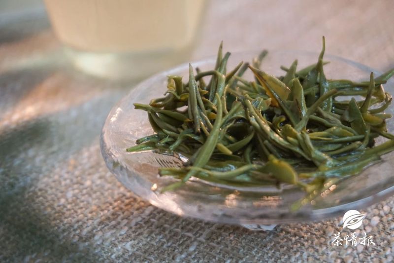 好茶还需好水泡，第三种水还是算了吧