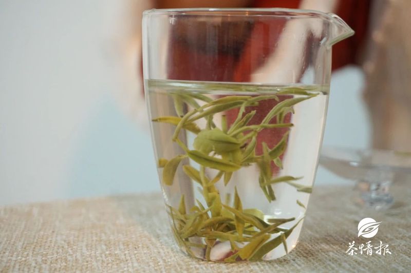 好茶还需好水泡，第三种水还是算了吧