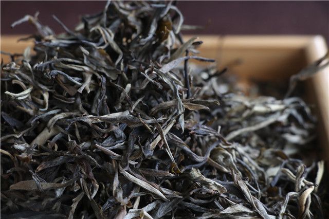 南糯山属于哪个茶区