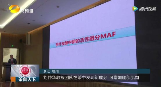 喝茶可以防止肌肉萎缩，乌龙茶排第一