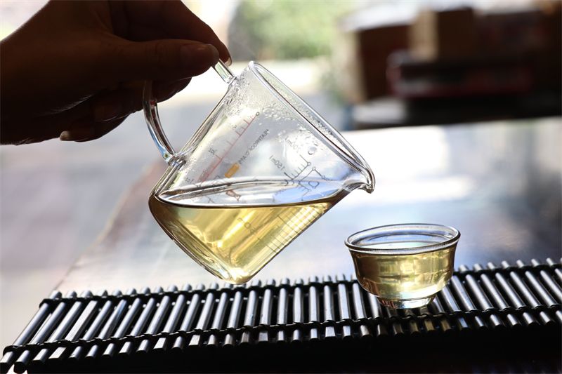 春季喝茶必知的六大真相