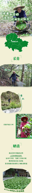 到中国绿都福建三明，品生态好茶