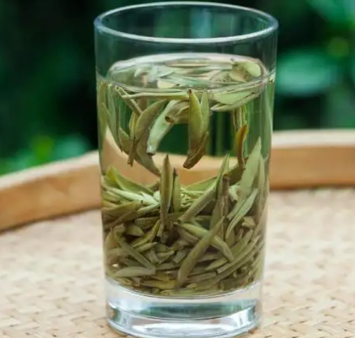 白茶制作工艺步骤