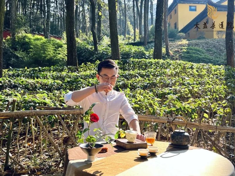 惊蛰茶席  茶园里品味普洱的陈香醇厚