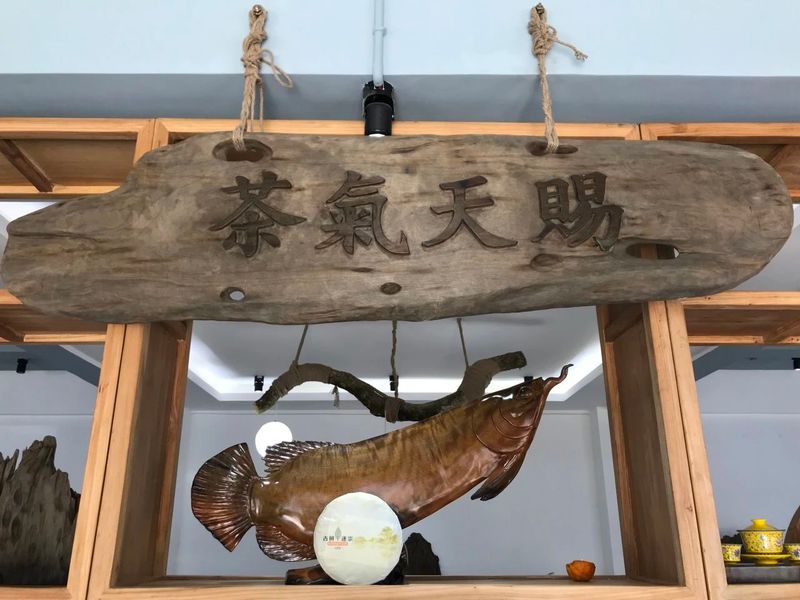 老茶客与小白的代沟