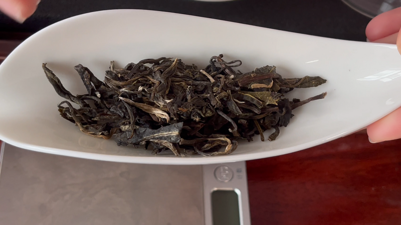 普洱青饼怎么泡，普洱新茶冲泡方法