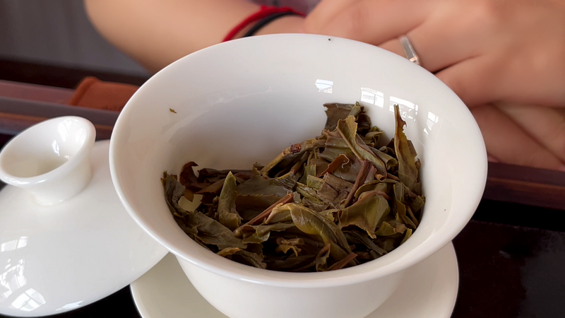 普洱青饼怎么泡，普洱新茶冲泡方法