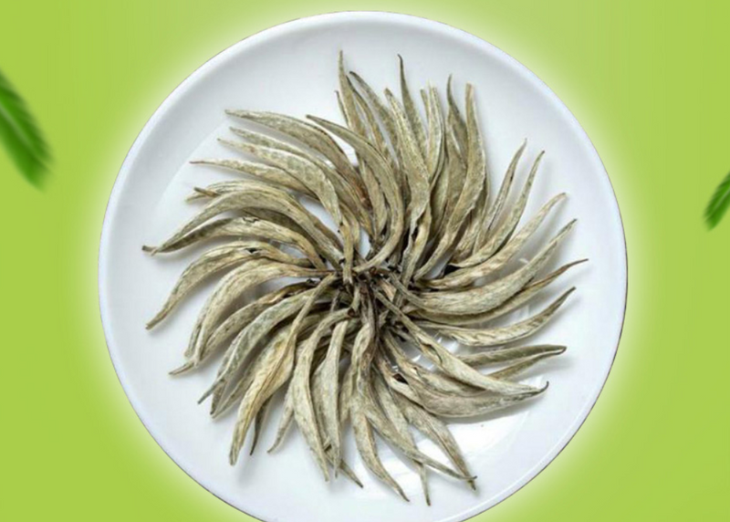 云南景谷大白毫价格多少钱