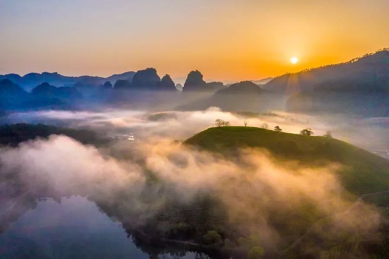 茶业圣地：武夷山