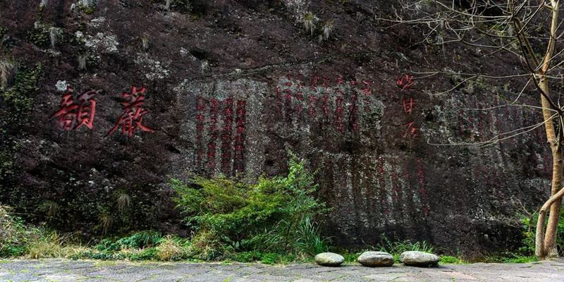 茶业圣地：武夷山