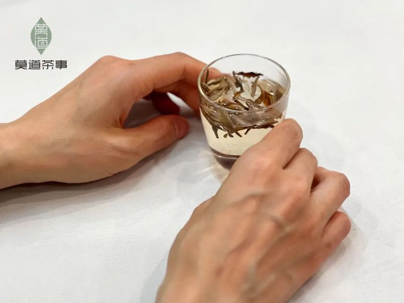 一杯无尽的春意，蕴藏着春天的色彩
