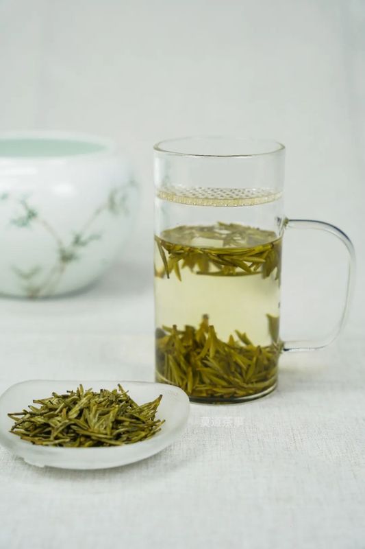 一杯无尽的春意，蕴藏着春天的色彩