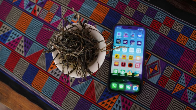 布朗山 南糯山 勐海的辉煌与挑战