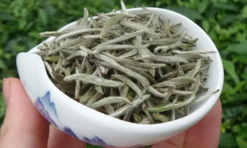 怎样分辨好的白毫银针