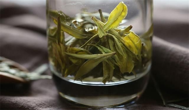 绿茶究竟可以保存多久？绿茶保存注意事项