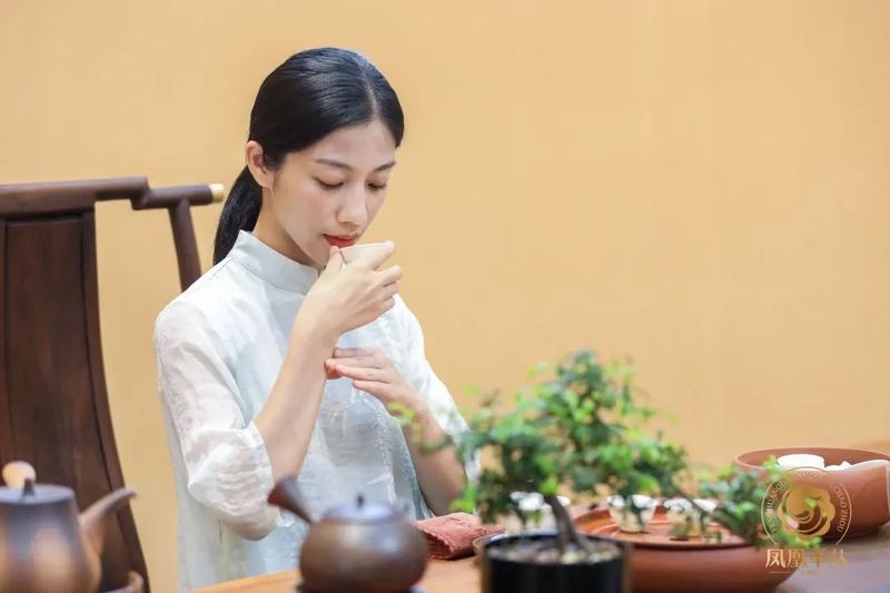 小雪至，寒冬始  冬季养生更适合喝这四种茶!