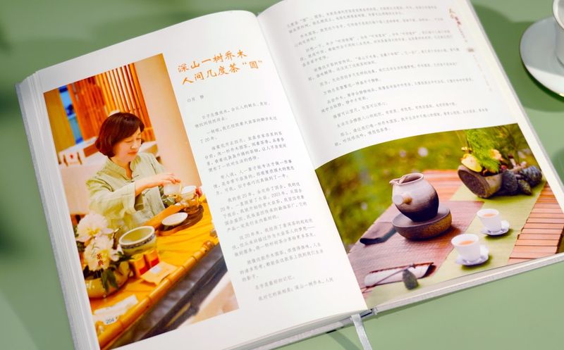 新版《大益茶典》面市 读懂大益茶品，传播茶之大益