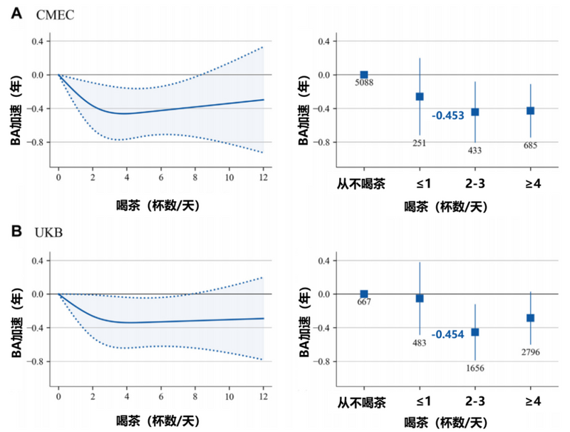 四川大学团队发现：喝茶减缓衰老，每天约3杯或效果最显著！