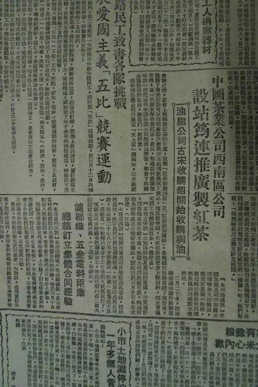 探寻——川红工夫的发展脉络