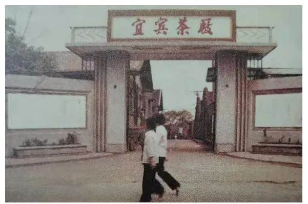 探寻——川红工夫的发展脉络