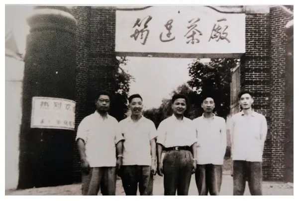 探寻——川红工夫的发展脉络